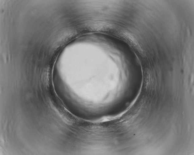 X0000088660590200706081705