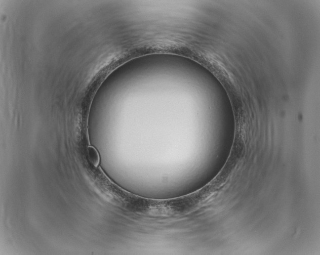 X0000088660591200706081705