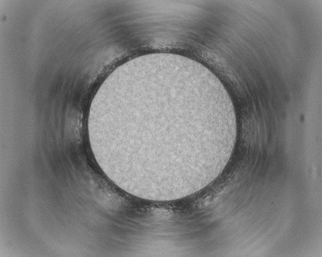 X0000088660592200706081705