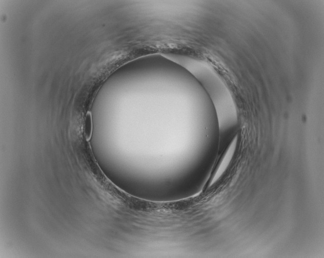 X0000088660593200706081705