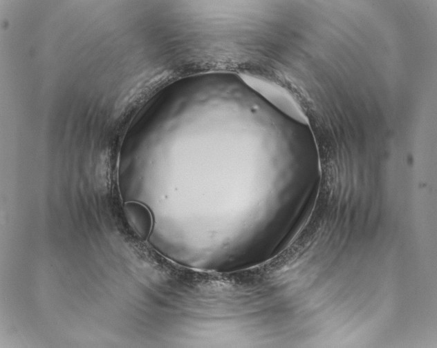 X0000088660594200706081705