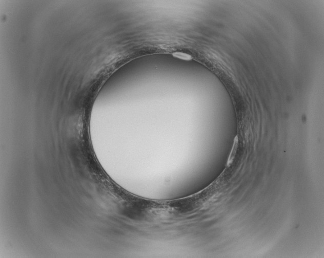 X0000088660595200706081704