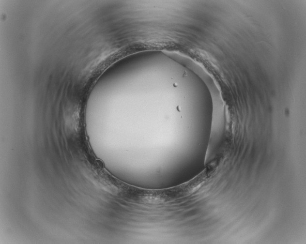 X0000088660596200706081704