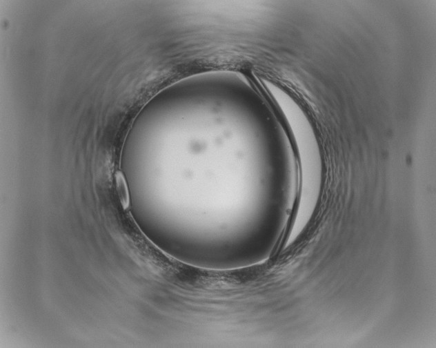 X0000088660597200706081704