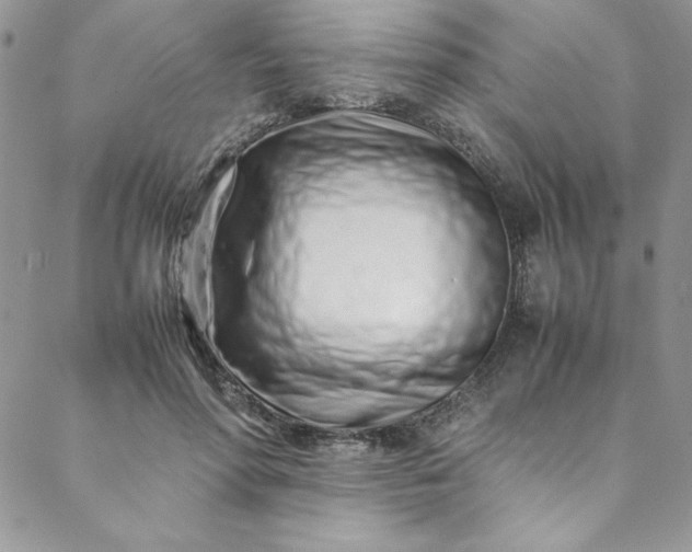 X0000088660598200706081704