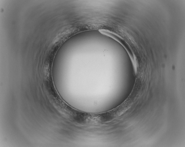 X0000088660599200706081704