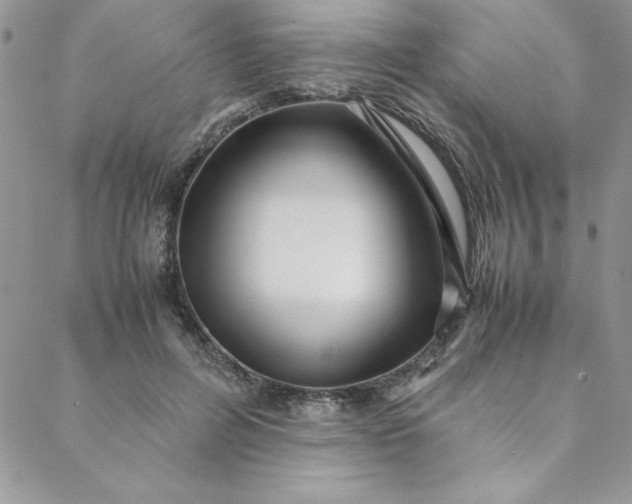 X0000088660600200706081704