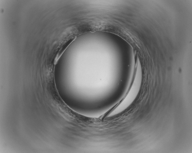 X0000088660601200706081704