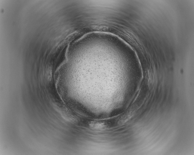 X0000088660602200706081704