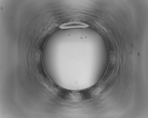 X0000088660603200706081704