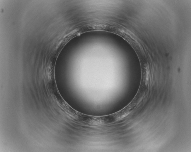 X0000088660604200706081704