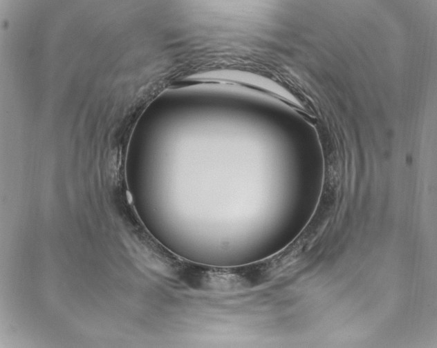 X0000088660605200706081704