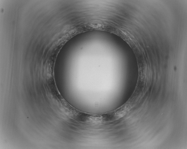 X0000088660606200706081704