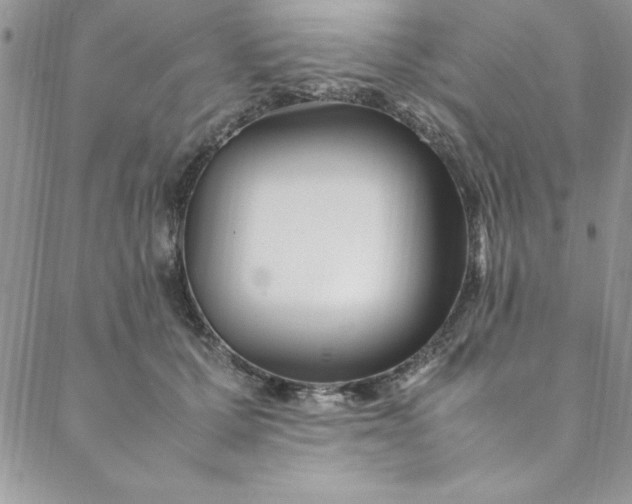 X0000088660607200706081704