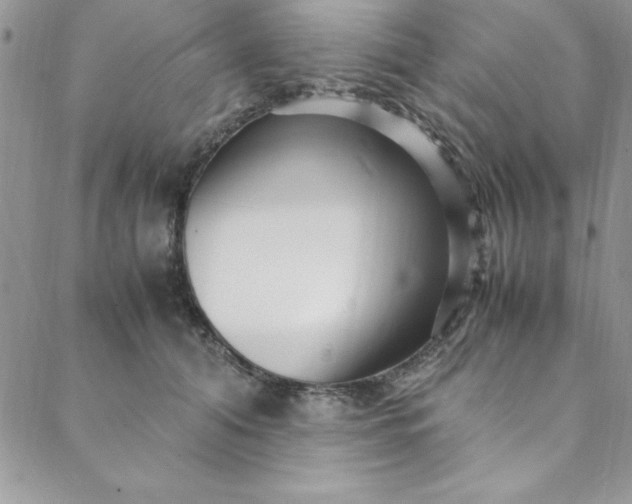 X0000088660608200706081704