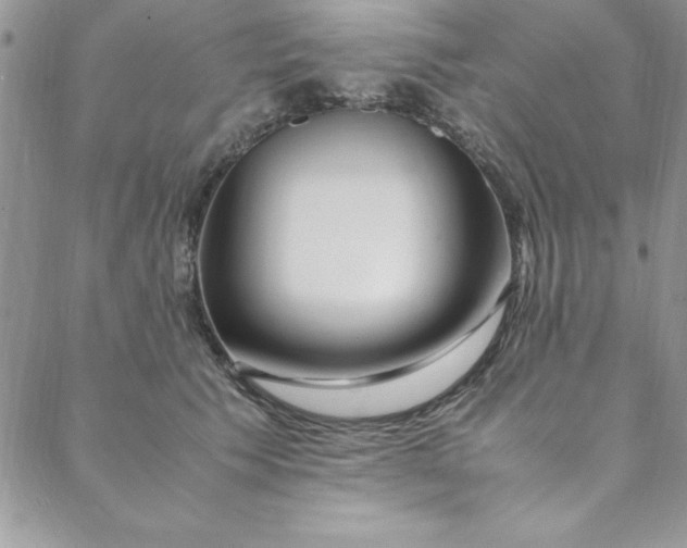 X0000088660609200706081704