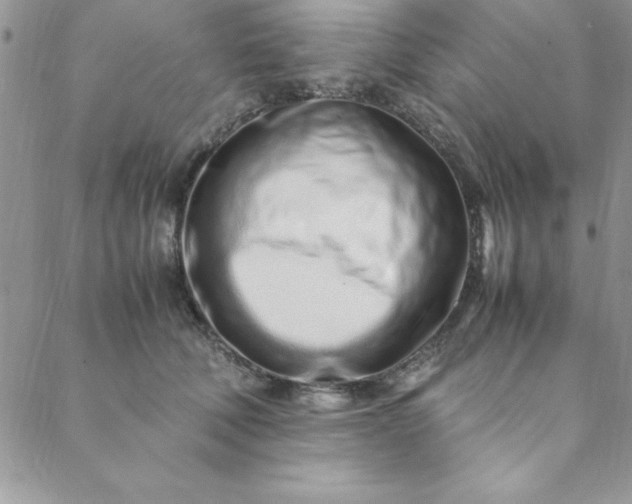 X0000088660610200706081704