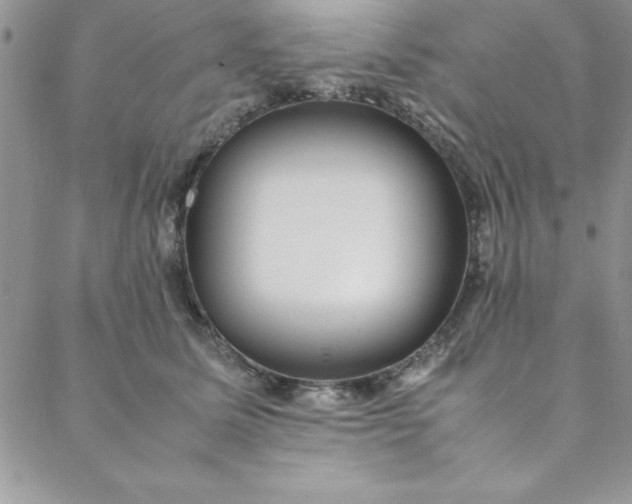 X0000088660611200706081704