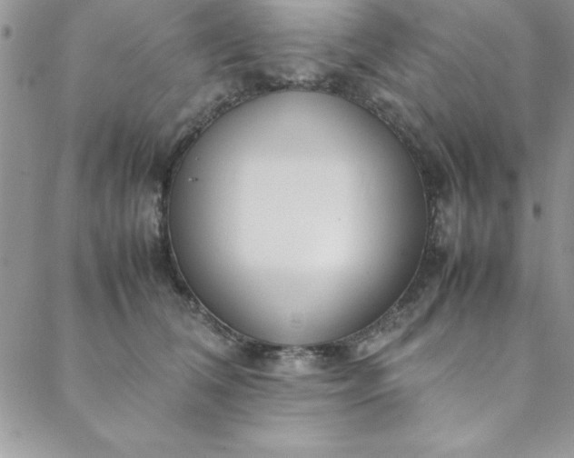 X0000088660612200706081704