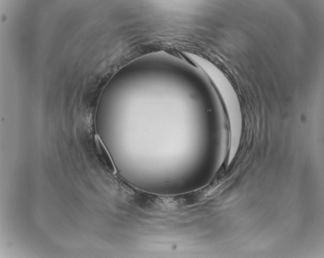 X0000088660613200706081704