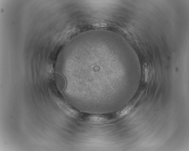 X0000088660614200706081704