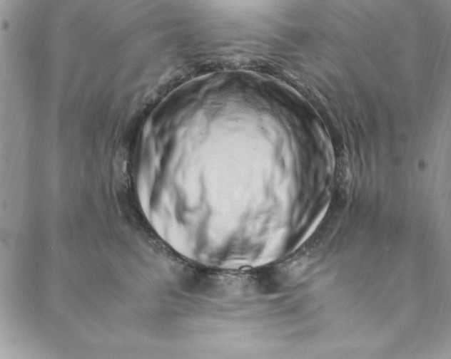 X0000088660615200706081704