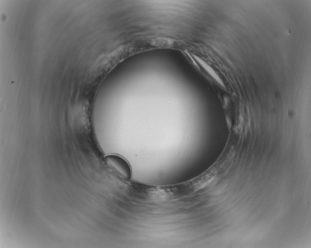 X0000088660616200706081704