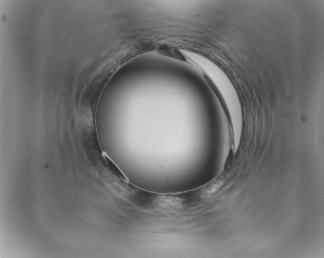 X0000088660617200706081704