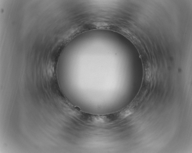 X0000088660618200706081704