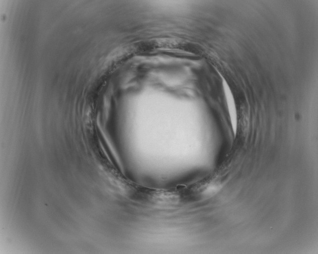 X0000088660619200706081704