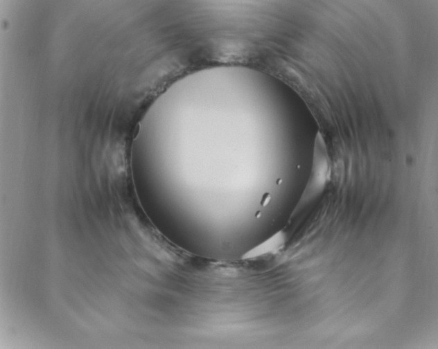 X0000088660620200706081704