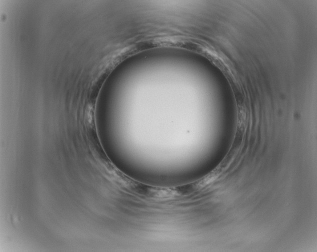 X0000088660621200706081704