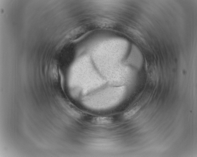 X0000088660622200706081704