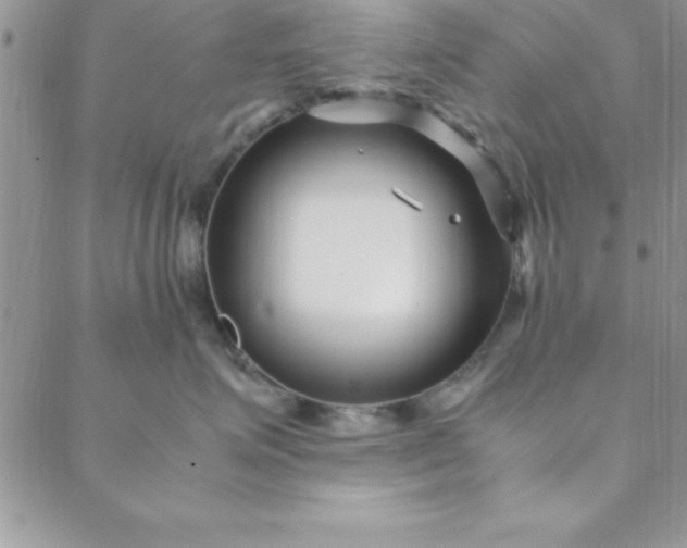 X0000088660623200706081704