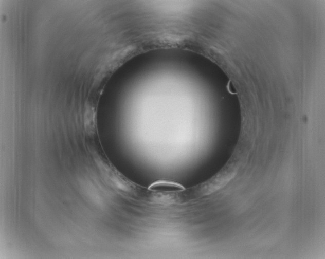 X0000088660624200706081704