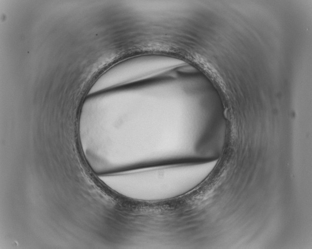 X0000088660625200706081703