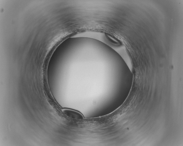 X0000088660626200706081703