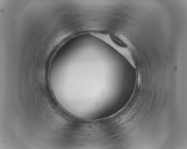 X0000088660627200706081703