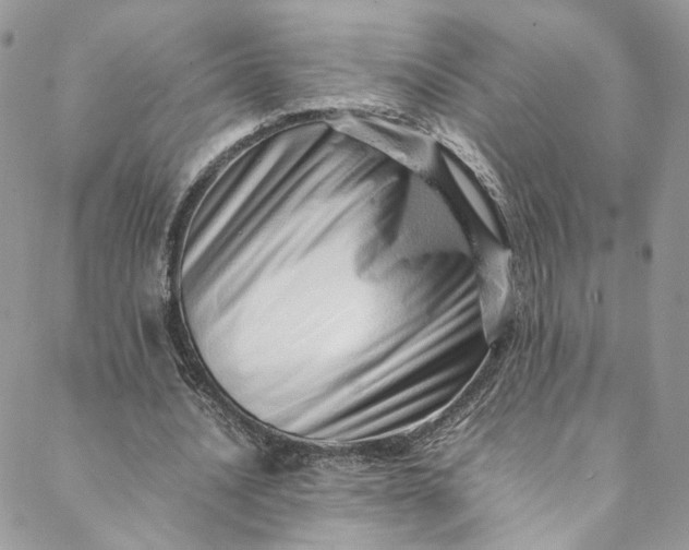 X0000088660628200706081703