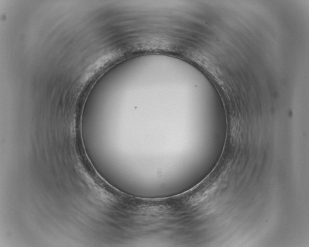 X0000088660629200706081703