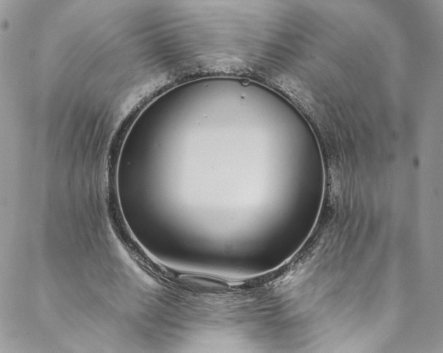 X0000088660630200706081703