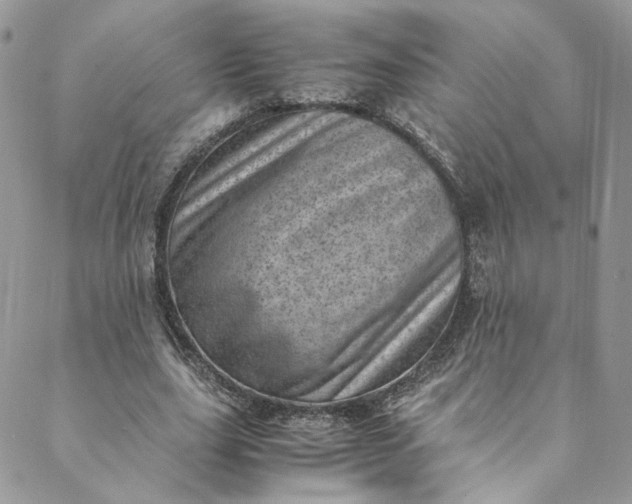 X0000088660631200706081703