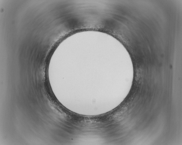 X0000088660632200706081703