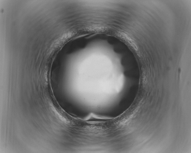 X0000088660633200706081703