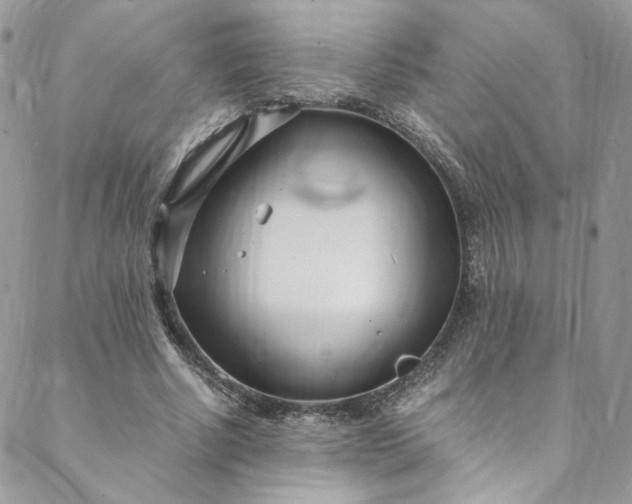 X0000088660634200706081703