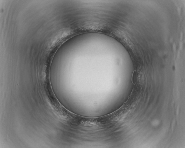 X0000088660635200706081703