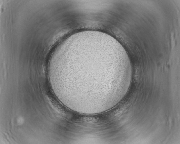 X0000088660636200706081703