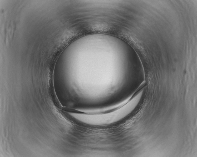 X0000088660637200706081703