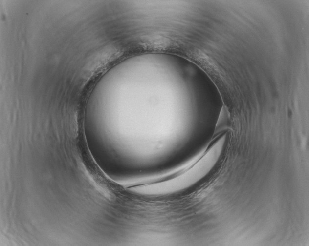 X0000088660638200706081703