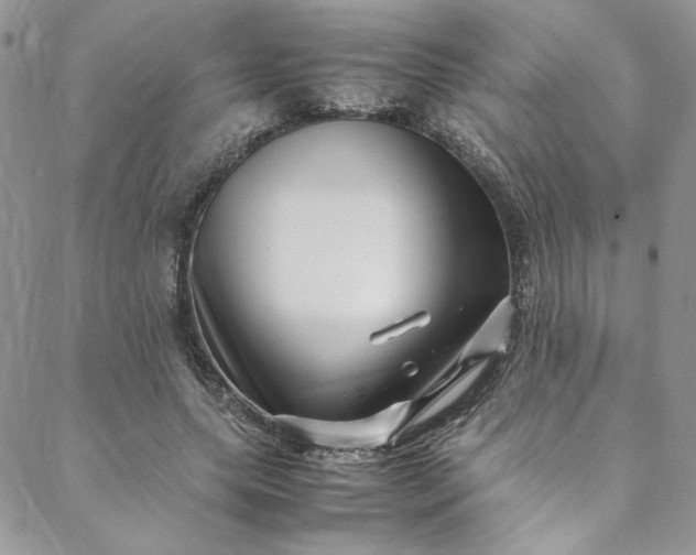 X0000088660639200706081703